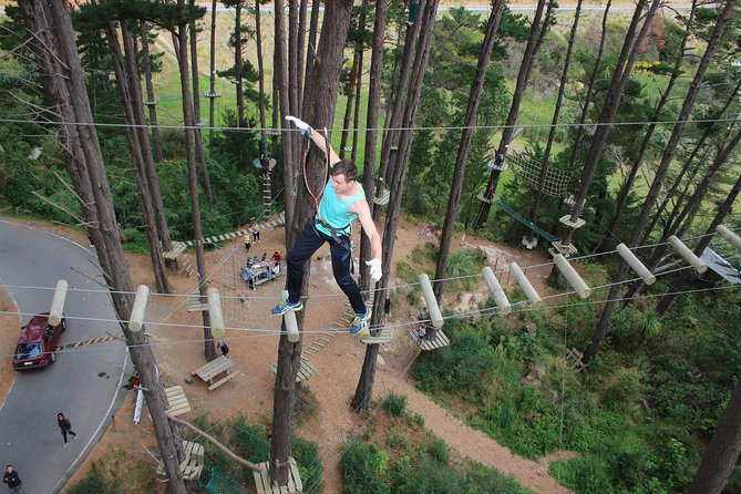 1 adrenalin forest obstacle course in christchurch Adrenalin Forest Obstacle Course in Christchurch