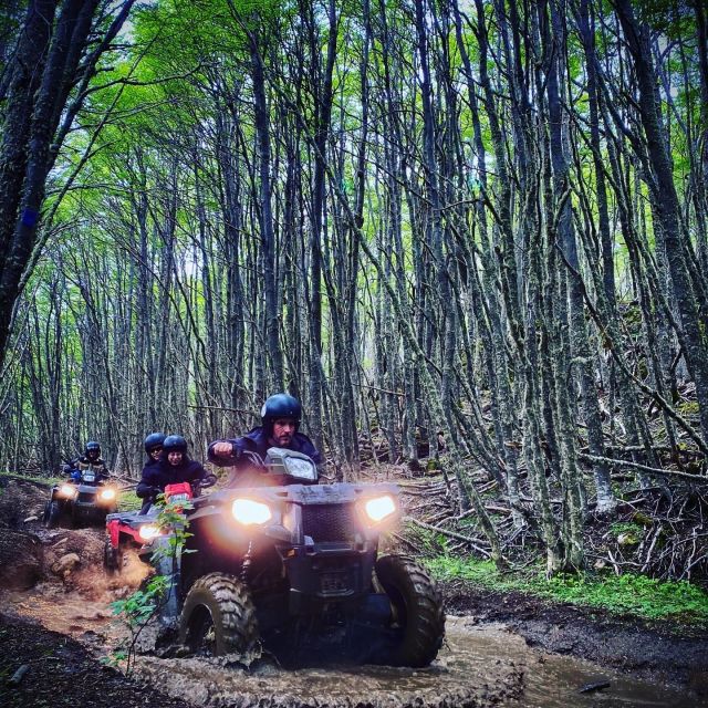 Adventure 360º in Quads With Lunch