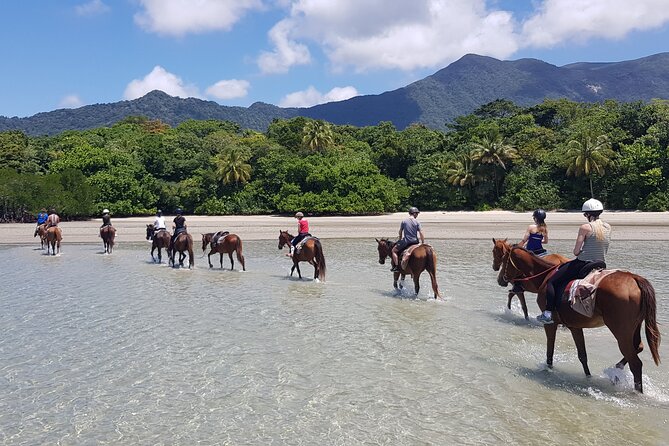 1 afternoon beach horse ride in cape tribulation Afternoon Beach Horse Ride in Cape Tribulation