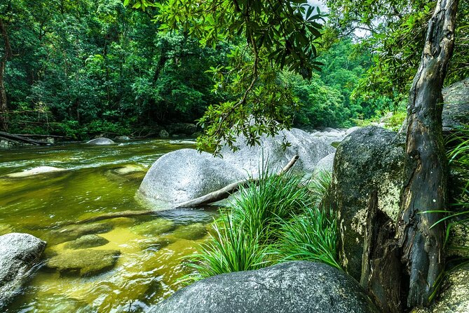 Afternoon Tour Mossman Gorge & Daintree River From Port Douglas
