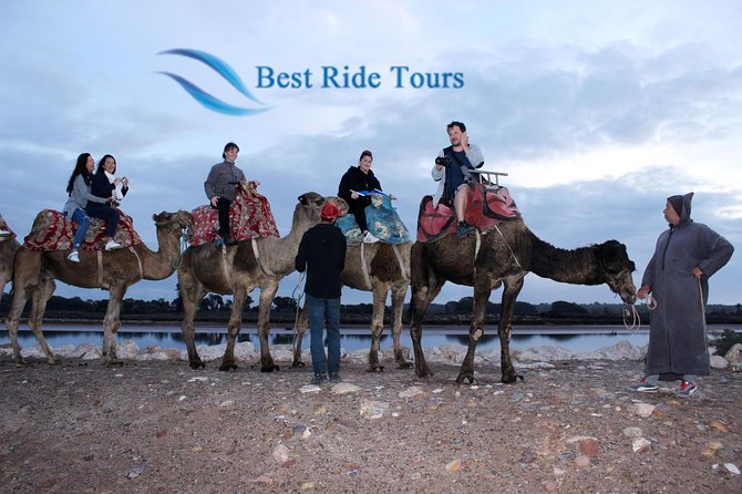 Agadir Camel Riding