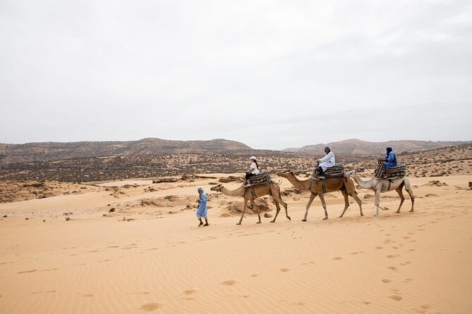 Agadir Sand Dunes and Camel Ride in Tifnit With Lunch