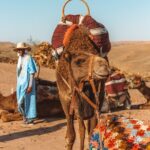 1 agafay desert quad camel and dinner show 2 Agafay Desert - Quad Camel and Dinner Show