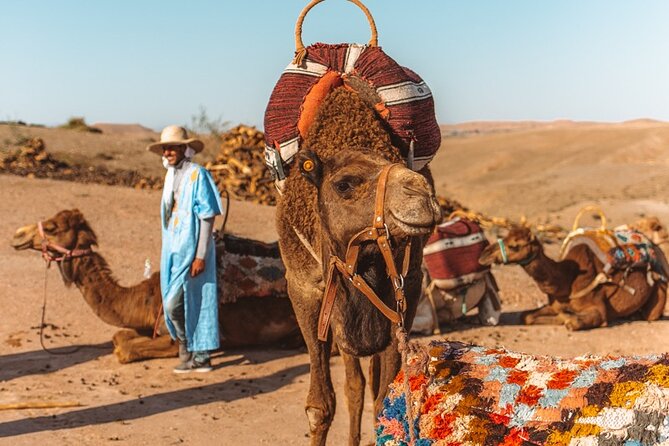 Agafay Desert – Quad Camel and Dinner Show