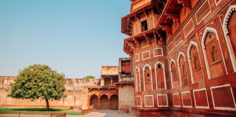 Agra: Taj Mahal Sunrise & Agra Fort Full DayCityTour