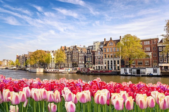 Airport Transfer: Schiphol Airport AMS to Amsterdam by Luxury Van