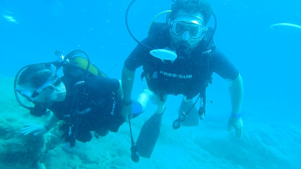 1 alanya 2 guided scuba dives with lunch and hotel transfers Alanya: 2 Guided Scuba Dives With Lunch and Hotel Transfers