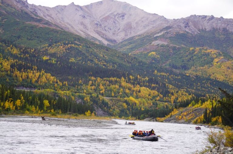 Alaska: Denali National Park Class I-II Rafting Tour