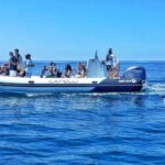 1 albufeira benagil cave and dolphin sightseeing boat cruise Albufeira: Benagil Cave and Dolphin Sightseeing Boat Cruise