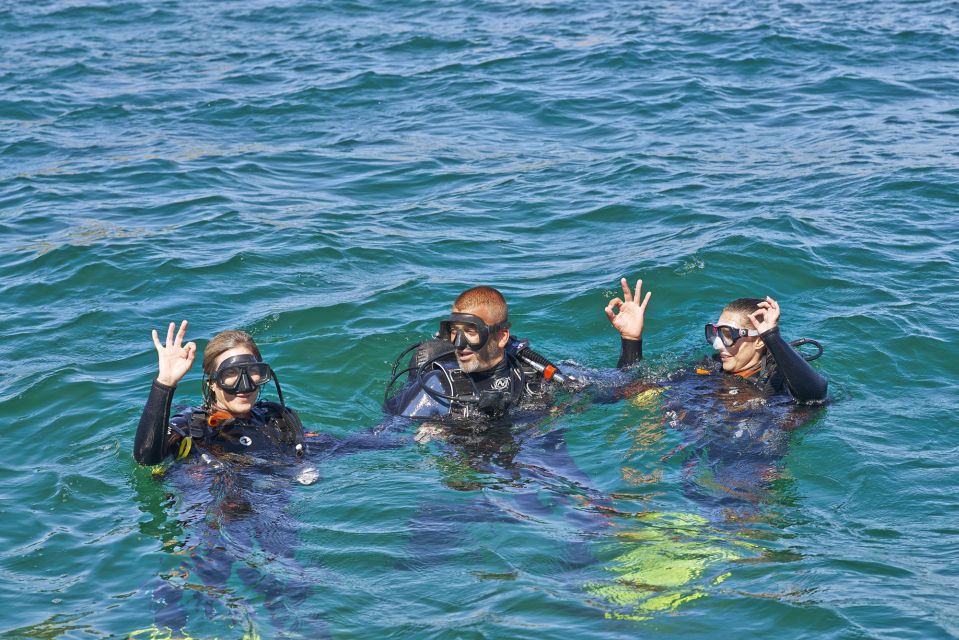 1 albufeira scuba diving experience for beginners Albufeira: Scuba Diving Experience for Beginners