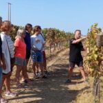1 albufeira winery tour with wine tasting and tapas Albufeira: Winery Tour With Wine Tasting and Tapas