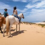 1 algarve 1 hour carrapateira horseback riding tour Algarve: 1-Hour Carrapateira Horseback Riding Tour