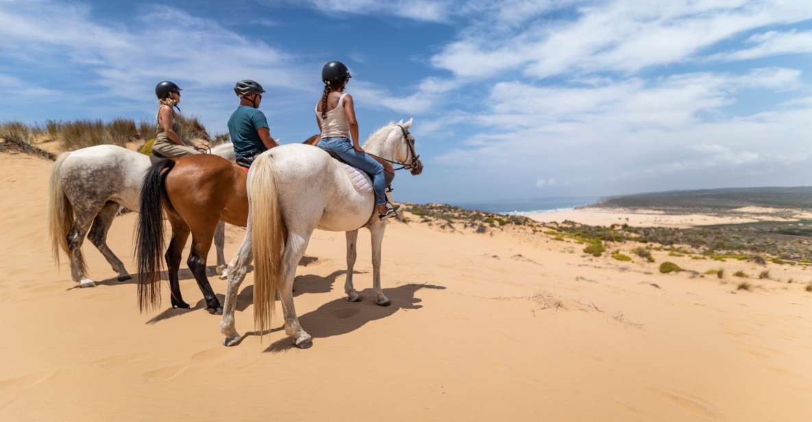 1 algarve 1 hour carrapateira horseback riding tour Algarve: 1-Hour Carrapateira Horseback Riding Tour