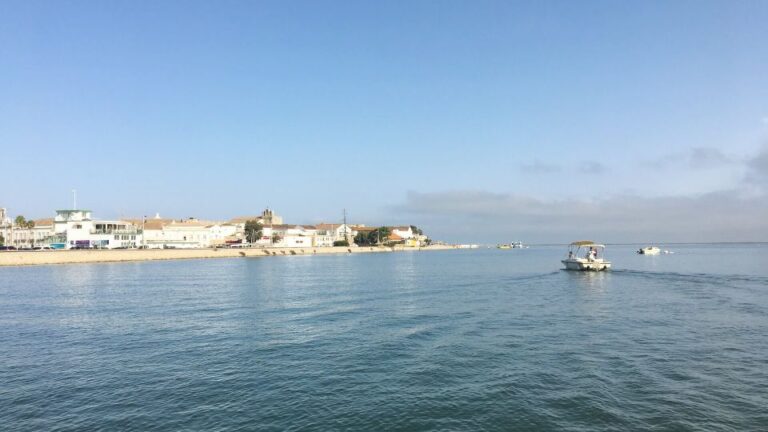 Algarve: Eco Boat Tour in the Ria Formosa Lagoon From Faro
