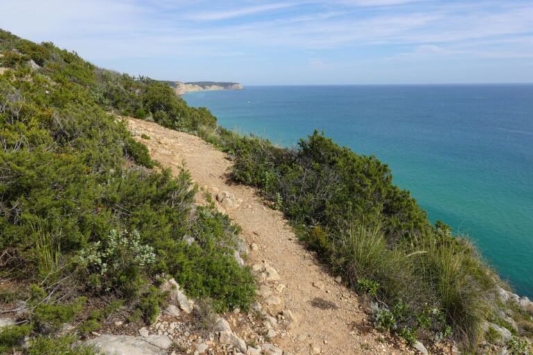 Algarve: Guided WALK in the Natural Park South Coast