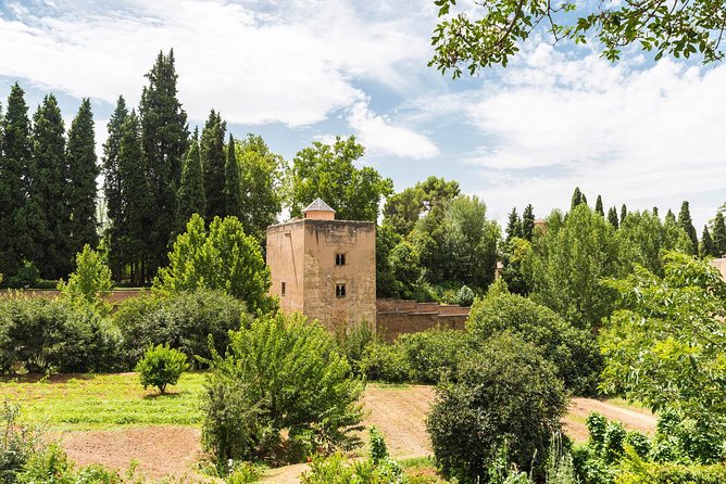 Alhambra, Generalife Gardens & Optional Nasrid Palaces