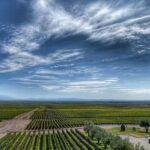 1 all day small group luxury wine tour with gourmet lunch All Day, Small Group, Luxury Wine Tour With Gourmet Lunch