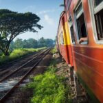 1 all inclusive ella scenic train journey with yala safari All Inclusive Ella Scenic Train Journey With Yala Safari