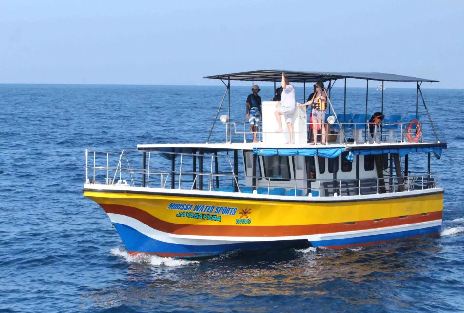 All Inclusive Mirissa Whale and Dolphin Watching Boat Ride - Live Tour Guide Details