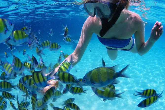 1 all inclusive san blas islands day tour from panama city All Inclusive San Blas Islands Day Tour From Panama City
