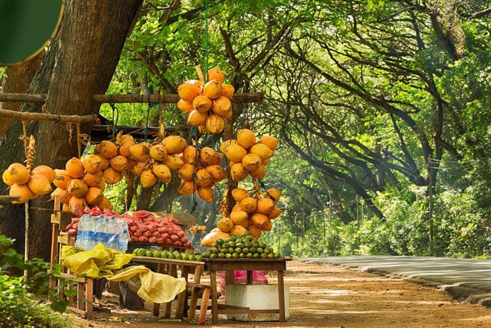 1 all inclusive sigiriya and dambulla day tour from colombo All Inclusive Sigiriya and Dambulla Day Tour From Colombo