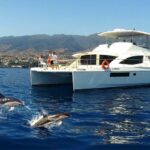1 all inclusive whale and dolphin watching luxury tour All Inclusive Whale and Dolphin Watching Luxury Tour