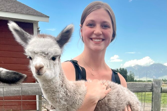 Alpaca and Llama Farm Tour