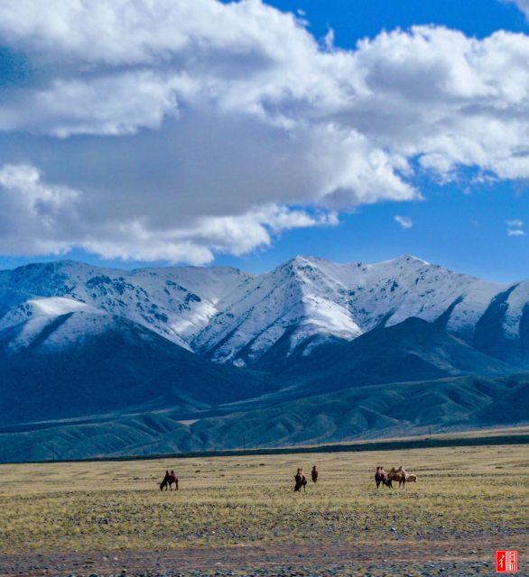 Altai Tavan Bogd” Tour in Western Mongolia
