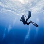 1 amed guided scuba dive for beginners non certified divers Amed: Guided Scuba Dive for Beginners/Non Certified Divers