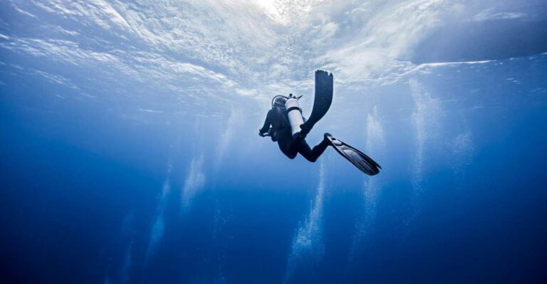 Amed: Guided Scuba Dive for Beginners/Non Certified Divers