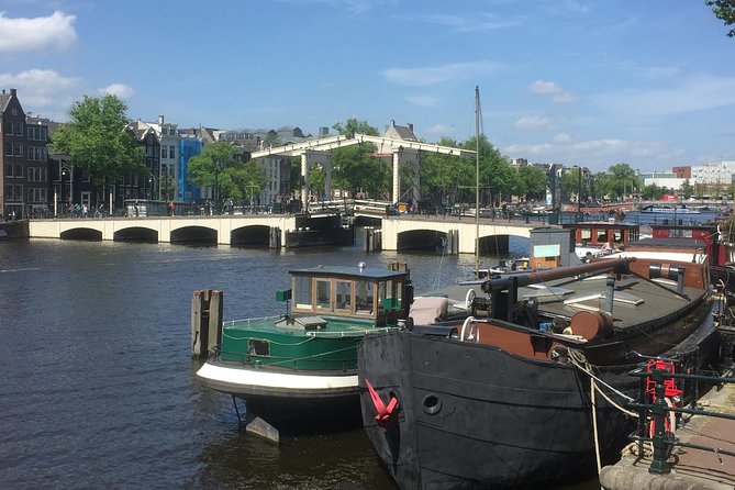 Amsterdam in a Nutshell 4 Hour Private Car Tour and Amsterdam Born Private Guide