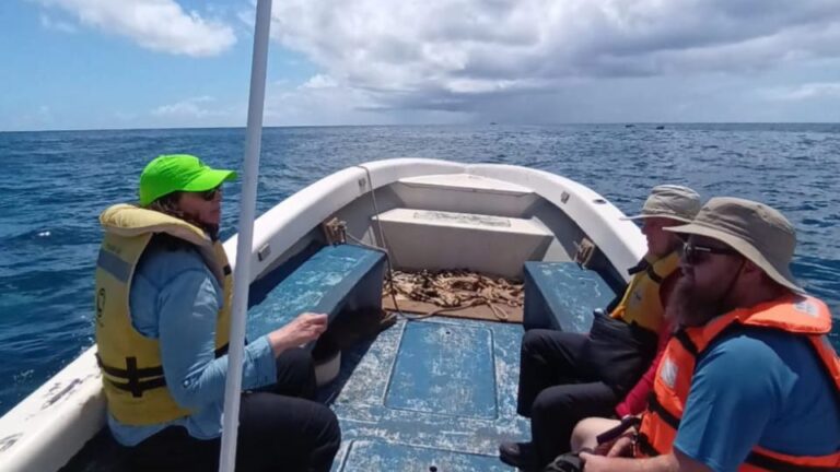 Ancestral Fishing: Fishing With an Experienced Rapa Nui