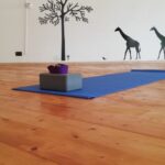 1 ancient yoga classes in jungle studio Ancient Yoga Classes in Jungle Studio