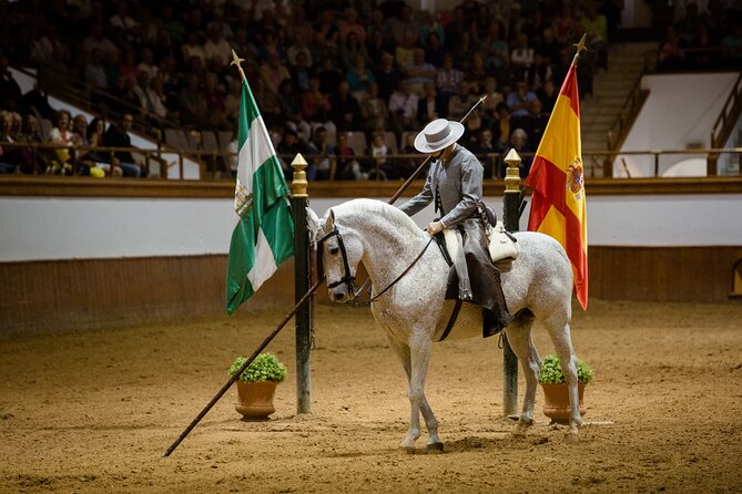 Andalusian Horses Dance Show