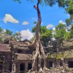 1 angkor wat sunrise highlight temples private guided tour Angkor Wat Sunrise & Highlight Temples Private Guided Tour