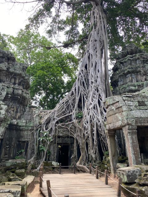 Angkor Wat Sunrise & Other Main Temples 2-Day Private Tour