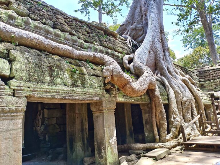 Angkor Wat Sunrise Tour: 2.5 Days With Tonle Sap Lake