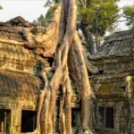 1 angkor wat temple hopping tour with sunset Angkor Wat Temple Hopping Tour With Sunset