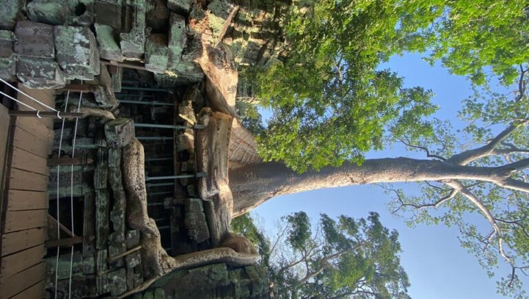 Angkor Wat Tour by Miivan