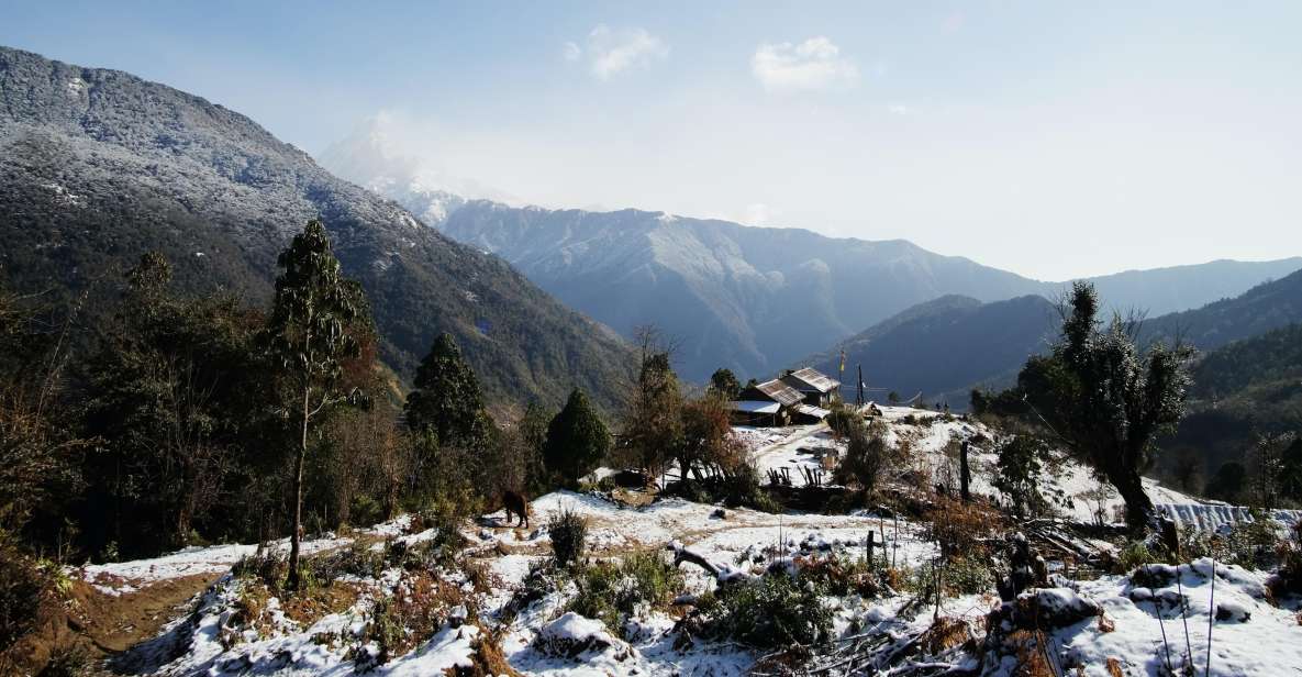 1 annapurna base camp short 5 days trek Annapurna Base Camp: Short 5-days Trek