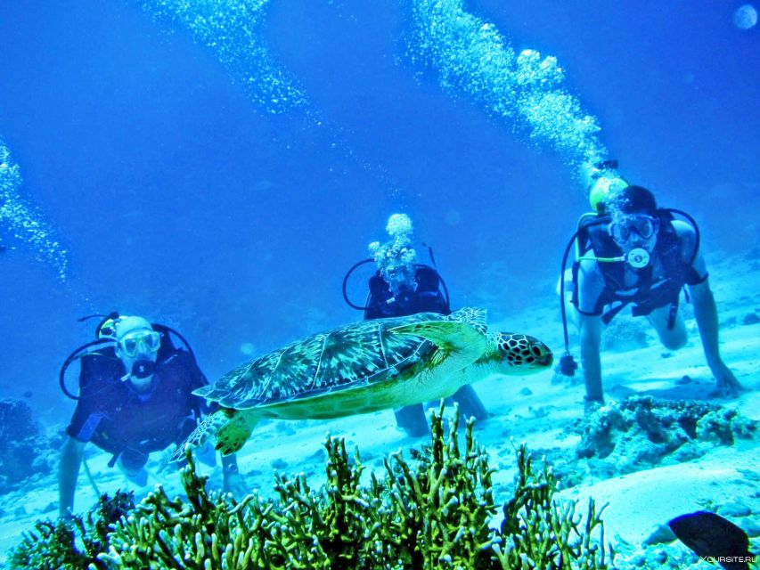 1 antalya diving discovery explore the deep sea secrets Antalya Diving Discovery: Explore the Deep Sea Secrets