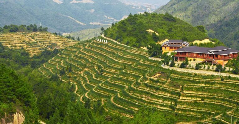 Anxi Tea Garden and Hong’En Rock From Xiamen