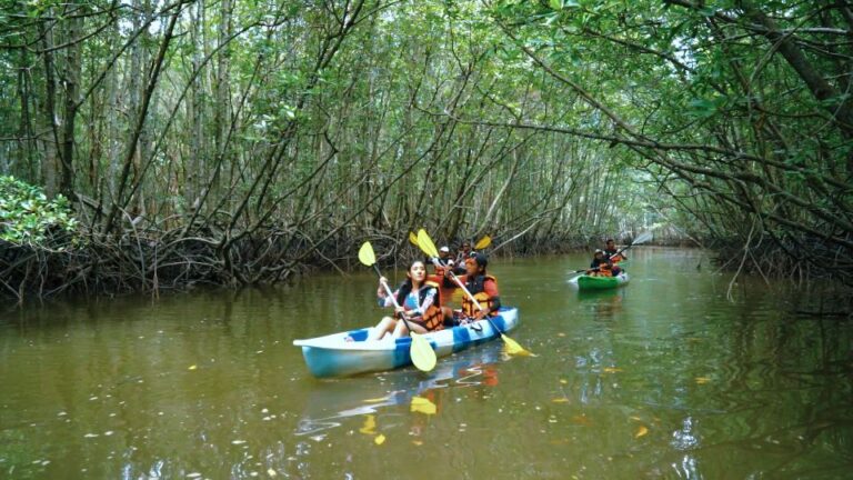 Ao Nang: Kayak Tour in Krabi Mangrove Forest With Lunch