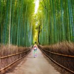 1 arashiyama walking tour bamboo forest monkey park secrets Arashiyama Walking Tour - Bamboo Forest, Monkey Park & Secrets