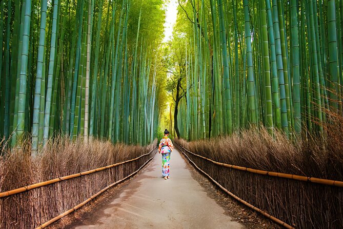 Arashiyama Walking Tour – Bamboo Forest, Monkey Park & Secrets