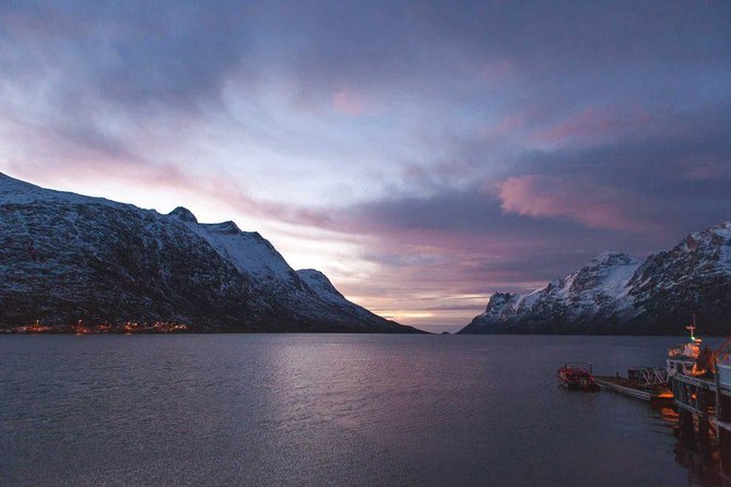 Arctic Fjord Sightseeing By Minibus