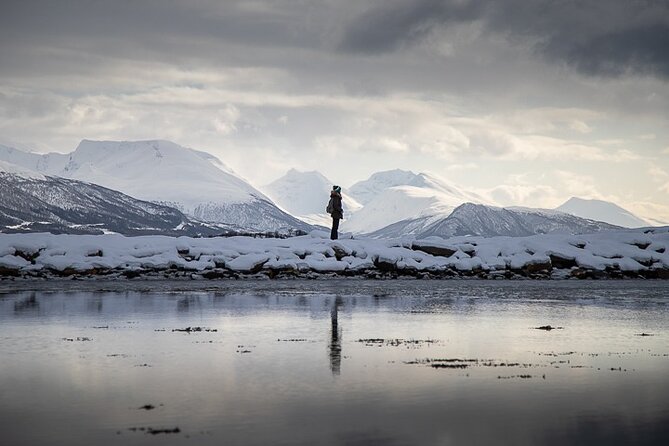 Arctic Landscapes Hiking, Sightseeing & Snowshoeing Private Tour
