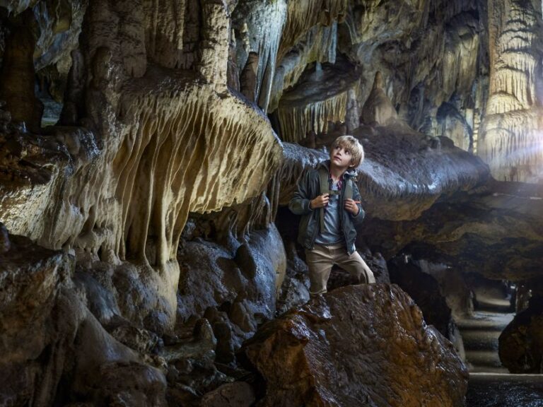 Ardennes: Caves of Han & Wildlife Park Bundle Entry Ticket
