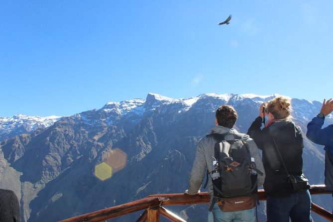 1 arequipa small group full day colca canyon tour Arequipa Small-Group Full-Day Colca Canyon Tour