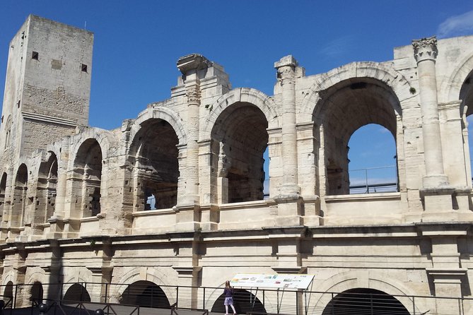 Arles and Camargue Small-Group Half-Day Tour From Avignon